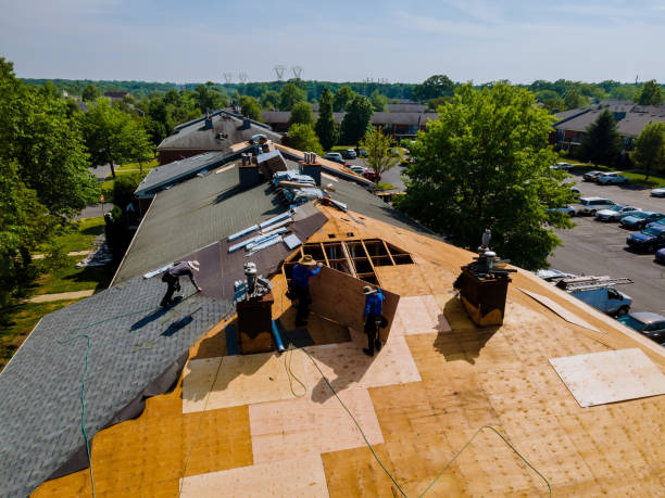 Trusted Roof Repair service in Woodberry Forest, VA - Brentwood Metal Roofing